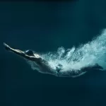 nuova stagione Centro Sportivo di Corsico: i nuovi corsi