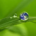 tutela ambiente centro sportivo corsico green