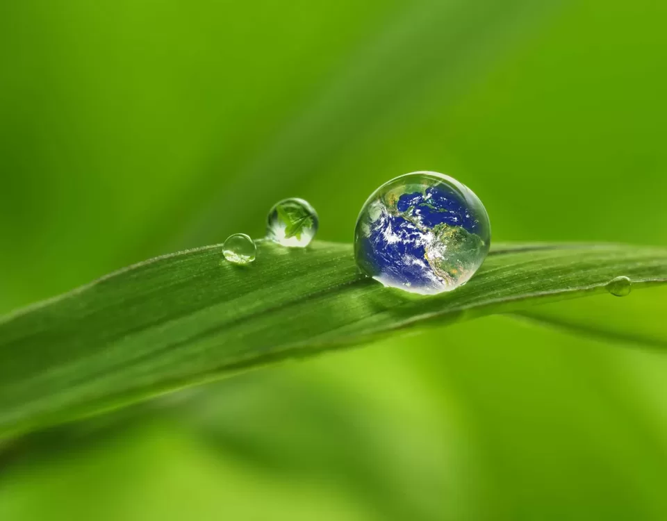 tutela ambiente centro sportivo corsico green