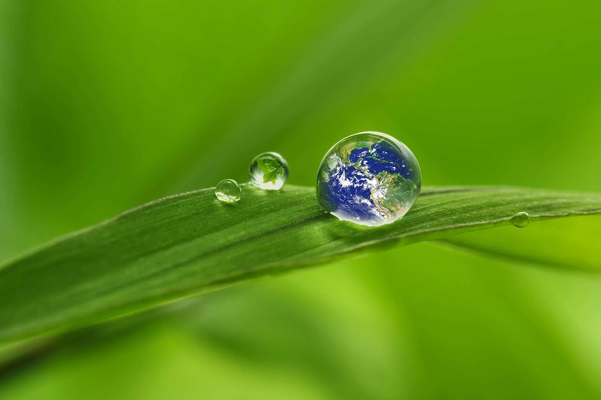 tutela ambiente centro sportivo corsico green